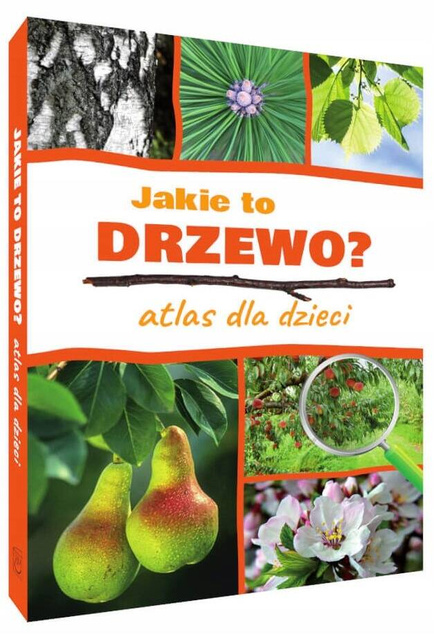 Atlas Dla Dzieci Jakie To Drzewo? Aleksandra Halarewicz SBM