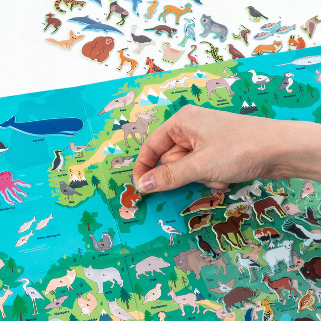 WYKLEJANKA ZWIERZĘTA EUROPY + GRA GDZIE ONE ŻYJĄ KIDEA