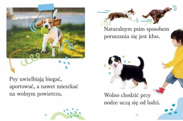 Wyrazy Zdania Do Nauki Czytania Psy Dzikie Domowe Przyroda 4+ Aksjomat 3166