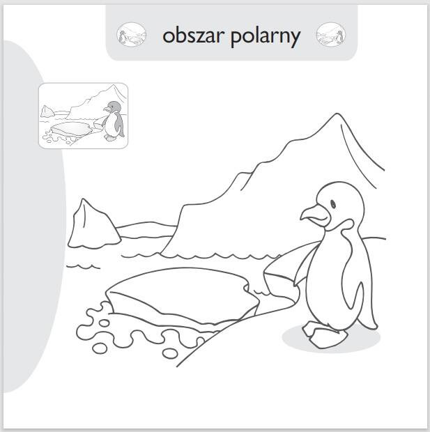 Malowanie-doklejanie. Dzikie zwierzęta