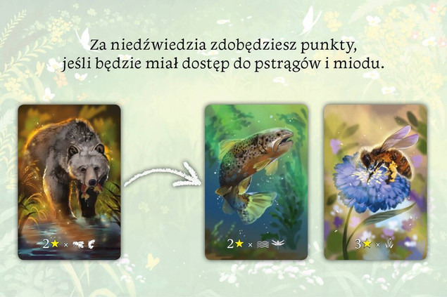 Ekosystem Gra Planszowa Przygodowa Tworzenie Krainy 8+ Nasza Księgarnia