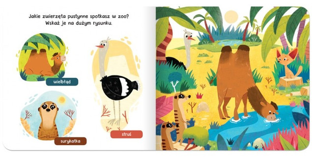 W zoo. Raz, dwa, trzy – szukam! książeczka | Aksjomat