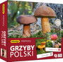 Gra Memory Grzyby Polski Pamięciowa Dla Dzieci Pamięć 5+ Adamigo