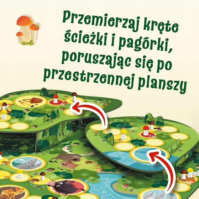 TREFL Grzybobranie w Zielonym Gaju 00988