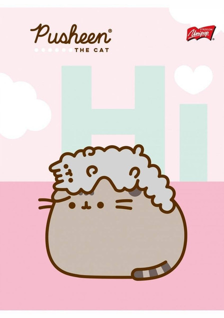 Zeszyt A5 32k kratka laminowany PUSHEEN p15 mix cena za 1szt