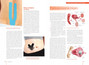 Kinesiotaping