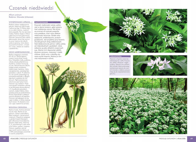 Atlas roślin leczniczych