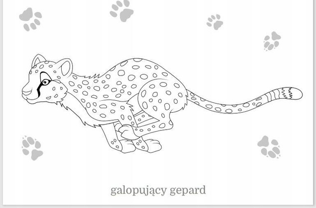Dzikie koty. Maluszkowe malowanie