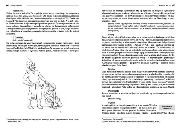 Szewcy Witkiewicz lektury z opracowaniem Greg