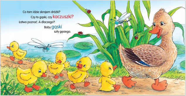 Kaczka kwa, kwa Wierszyki bajki bajeczki