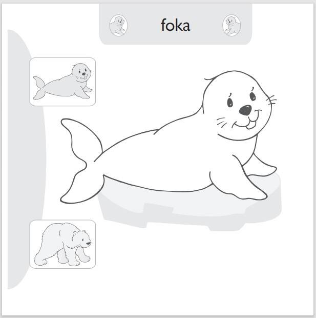 Malowanie-doklejanie. Dzikie zwierzęta