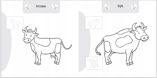 Malowanie doklejanie Zwierzęta na wsi Kolorowanka