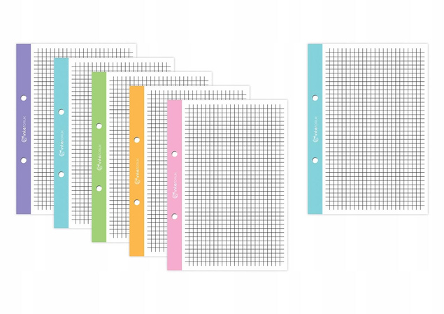 Wkład Do Segregatora A4 50 Kartek Kratka Kolorowy Margines Interdruk