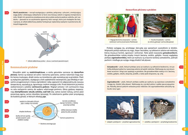 Repetytorium szkoła podstawowa. Biologia 2023