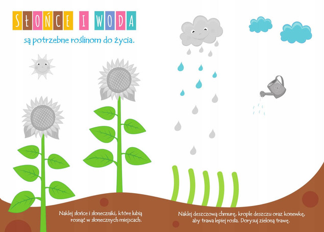 Akademia 2-latka. Rośliny