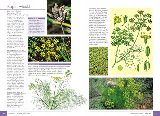 Atlas roślin leczniczych