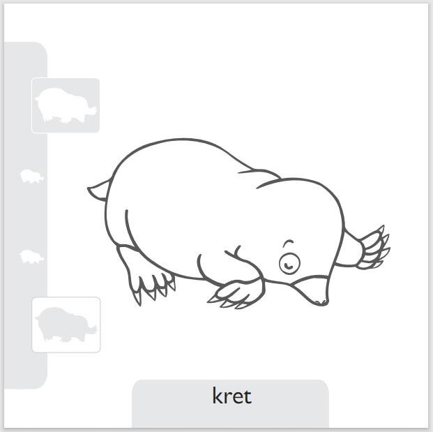 Pokoloruj zwierzaki z lasu