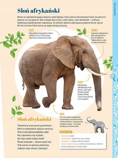 Moja pierwsza encyklopedia