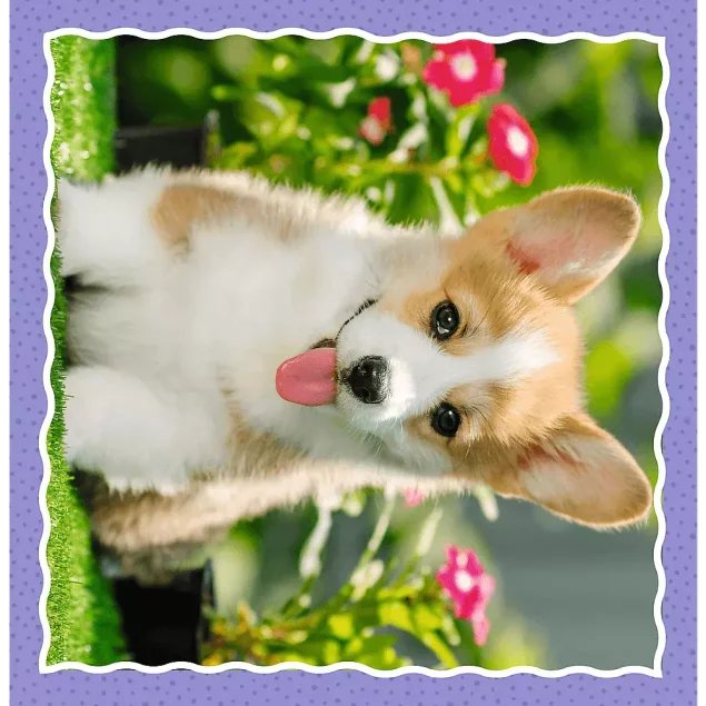 Trefl Puzzle 3w1 Urocze pieski Zwierzęta 34854 