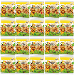 20x ZESTAW Ania Jungle Herbatniki Mini Zoo 20szt. x100g Bez Cukru