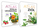 ZESTAW | Atlas Roślin Leczniczych + Atlas Ziół SBM