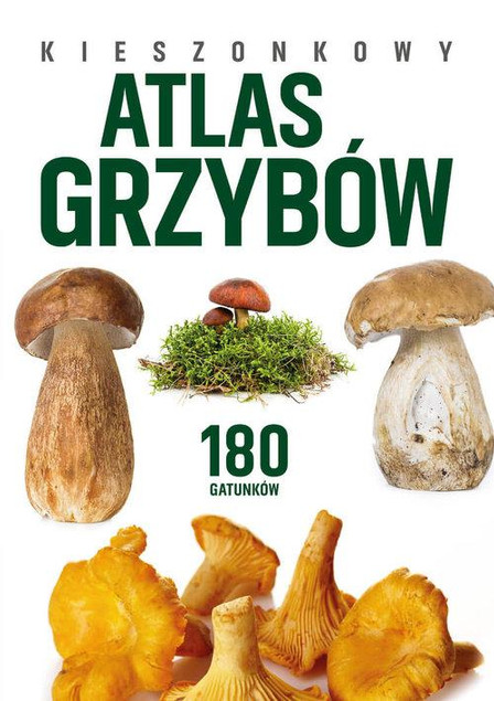 Kieszonkowy Atlas Grzybów 180 Gatunków Patrycja Zarawska BR SBM