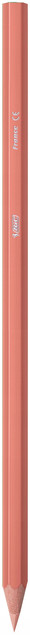 BIC KIDS TROPICOLORS Kredki Ołówkowe WYTRZYMAŁE Dla Dzieci BEZPIECZNE x24
