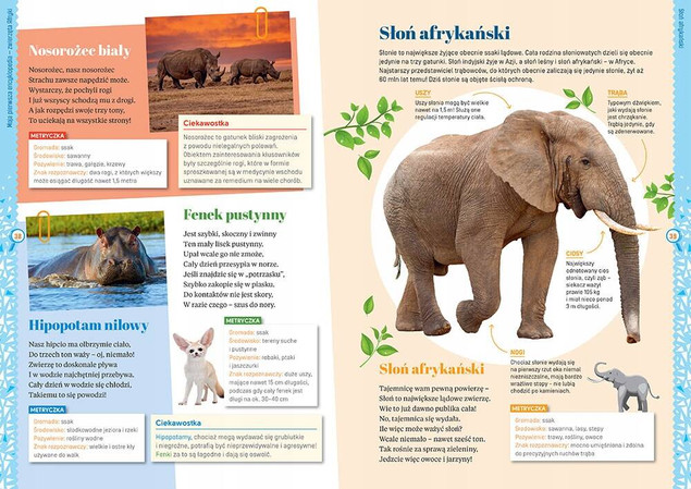 Moja pierwsza encyklopedia - zwierzęta