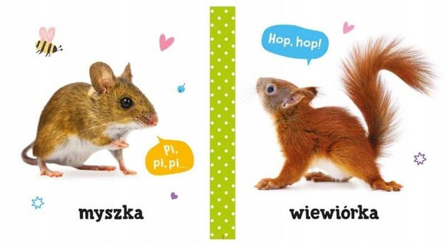 Pierwsze Słowa i Dźwięki Zwierzęta Agnieszka Bator 0+ Aksjomat 3834