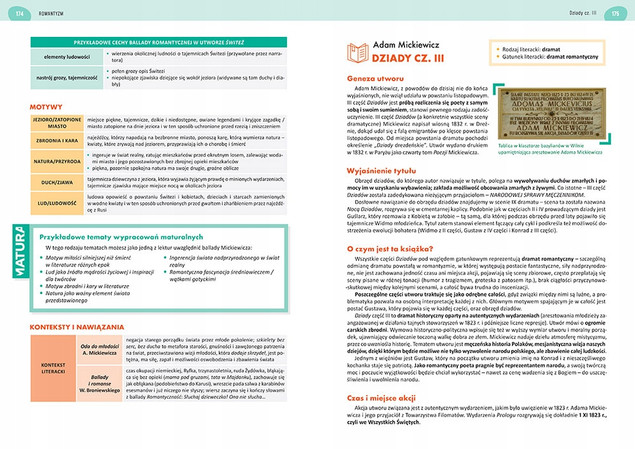 Język polski. Matura. Egzamin pisemny. Repetytorium maturalne