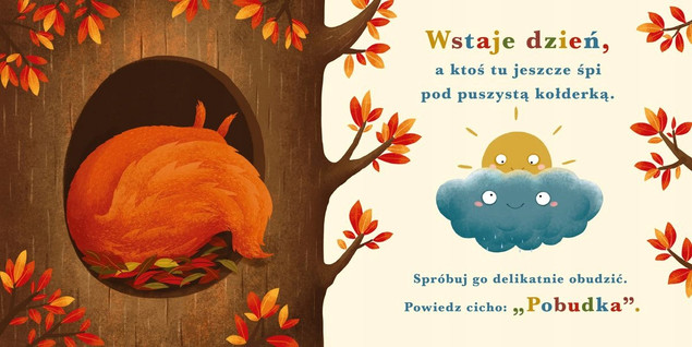 Rok w Lesie WIEWIÓRKA Emilia Dziubak Katarzyna Piętka 0+ Nasza Księgarnia