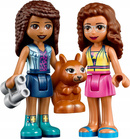 LEGO Friends Leśny Wodospad 93 el. 5+ 41677