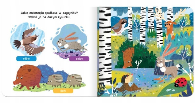 W lesie. Raz, dwa, trzy – szukam!