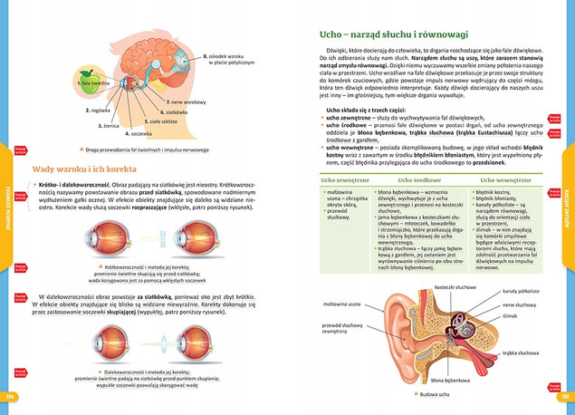 Nowe Repetytorium. Biologia. Szkoła podstawowa. Podstawa programowa 2024-2026