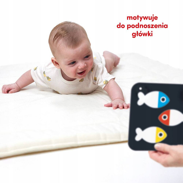 CzuCzu Duże karty kontrastowe dla dzieci w wieku 0m+, 3m+