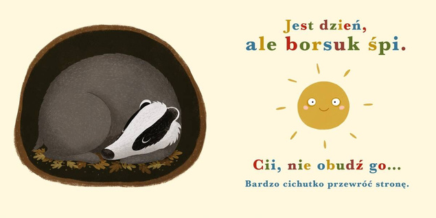 PAKIET Rok W Lesie + Wiewiórka + Bóbr + Borsuk +Niedźwiedź Nasza Księgarnia