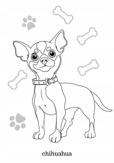 Małe pieski rasowe. Maluszkowe malowanie