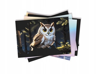 Zadanka & zdrapywanki. Zwierzęta leśne