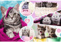 Puzzle 160 Urocze Kotki Trefl