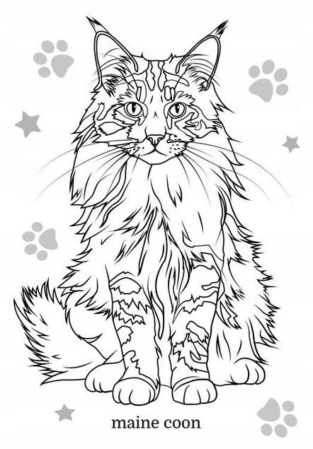 Koty rasowe. Maluszkowe malowanie