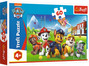 Trefl Puzzle 60 Psi Patrol na polanie 17375