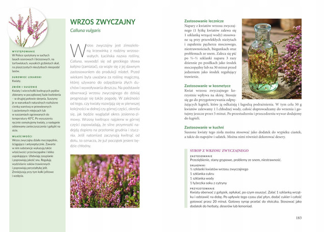 Zioła polskie. Wykorzystanie lecznicze, ...