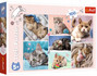 Puzzle 100 Układanka Kotki KOTY Koci Świat Kocięta Kot 5+ Trefl 16420