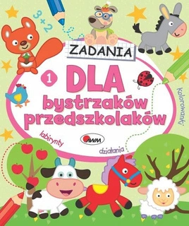 Dla Bystrzaków Przedszkolaków Książeczka Edukacyjna Kreatywność 3+ AWM