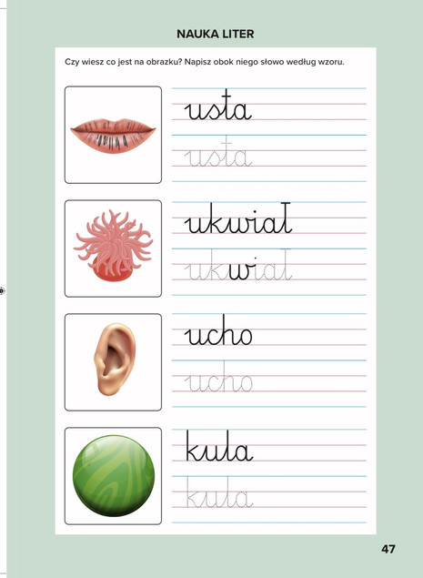 Elementarz. Nauka pisania. Ćw. grafomotoryczne