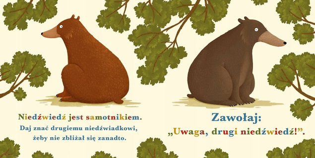PAKIET Rok W Lesie + Wiewiórka + Bóbr + Borsuk +Niedźwiedź Nasza Księgarnia