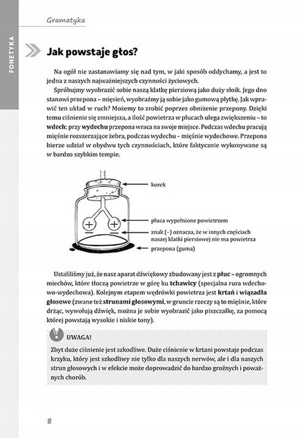 Jak Pisać Rozprawkę Opowiadanie + Gramatyka GREG