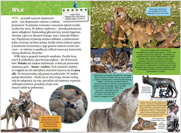 Mała encyklopedia. Zwierzęta leśne