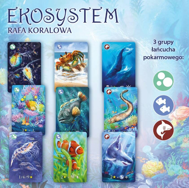 Ekosystem 2 Rafa Koralowa Gra Karciana 8+ Nasza Księgarnia