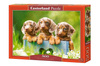 Puzzle 500 Cute Dachshunds CASTOR